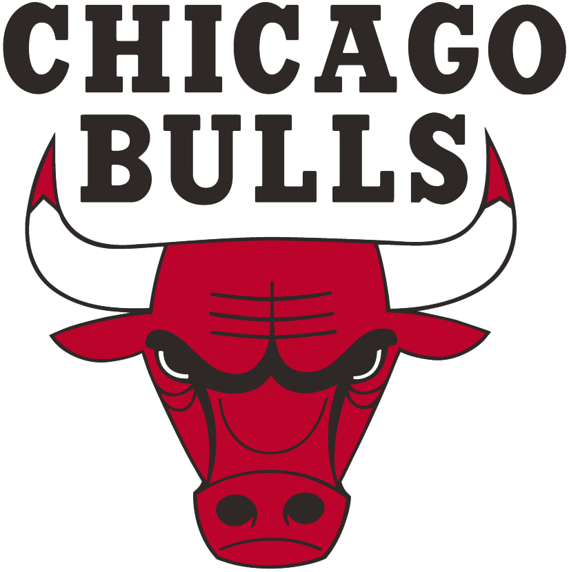 Chicago Bulls logos iron-ons